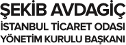 Şekib Avdegit Logo